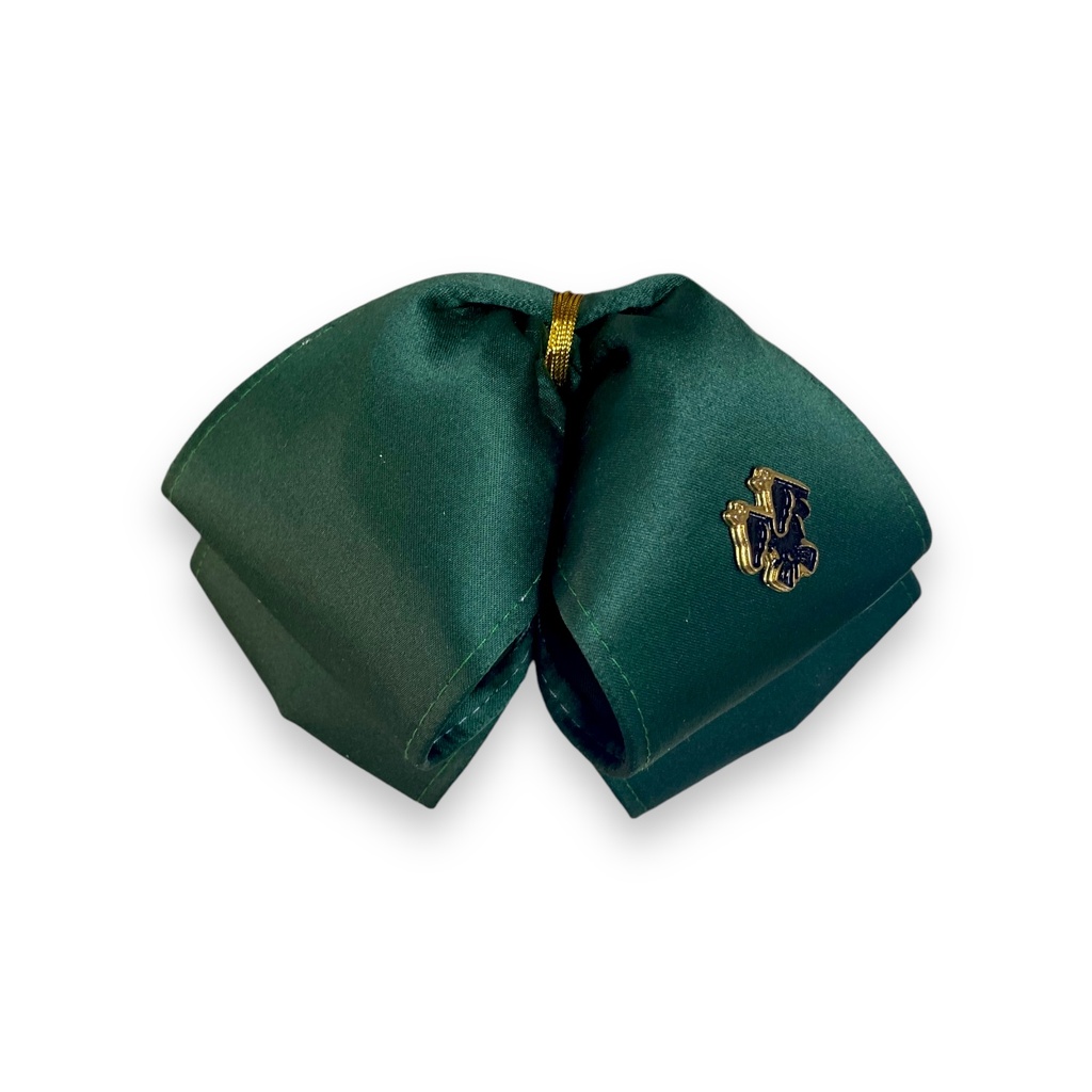 MOÑO VERDE LISO NIÑO 8-10 (Opción 1)