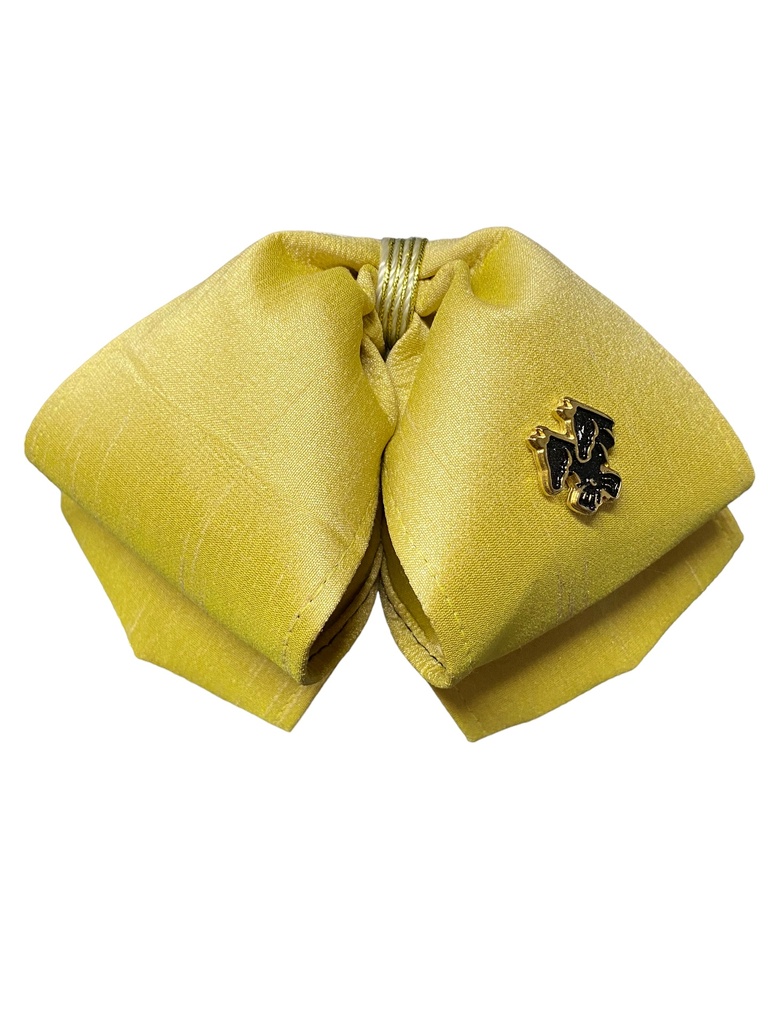 MOÑO AMARILLO LISO NIÑO 8-10 (Opción 1)