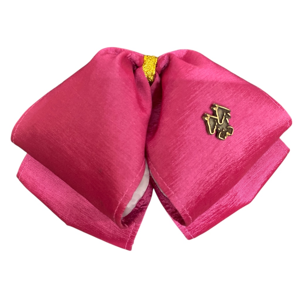 MOÑO ROSA LISO ADULTO